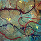 'Synaptic Rebirth'